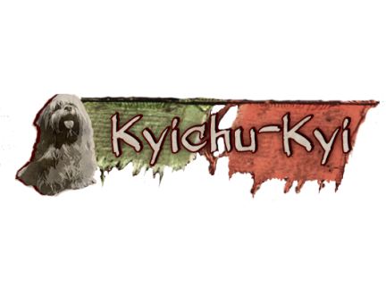 Banner kyichu 432 323 filled