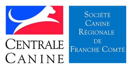 Logo scc franche comte r